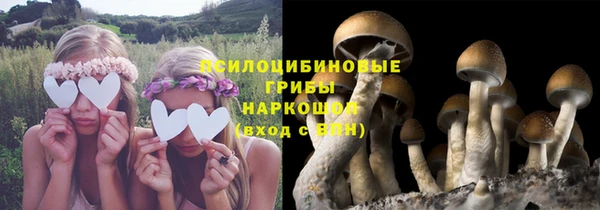apvp Ачинск