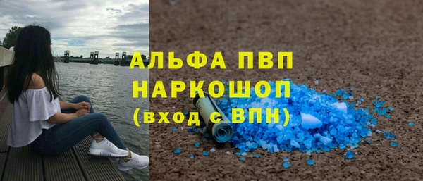 молекула духа Бердск