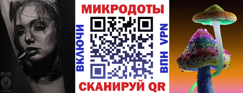 Псилоцибиновые грибы Psilocybe  Арзамас 